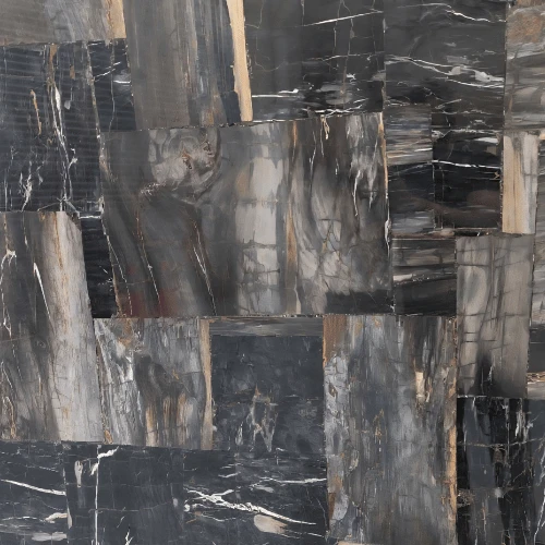 Black Petrified Wood Semi Precious